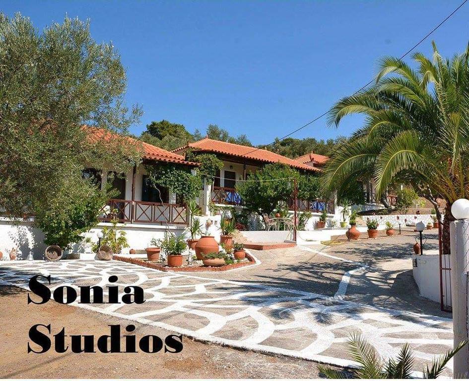 Sonia Studios Nees Kidonies Номер фото