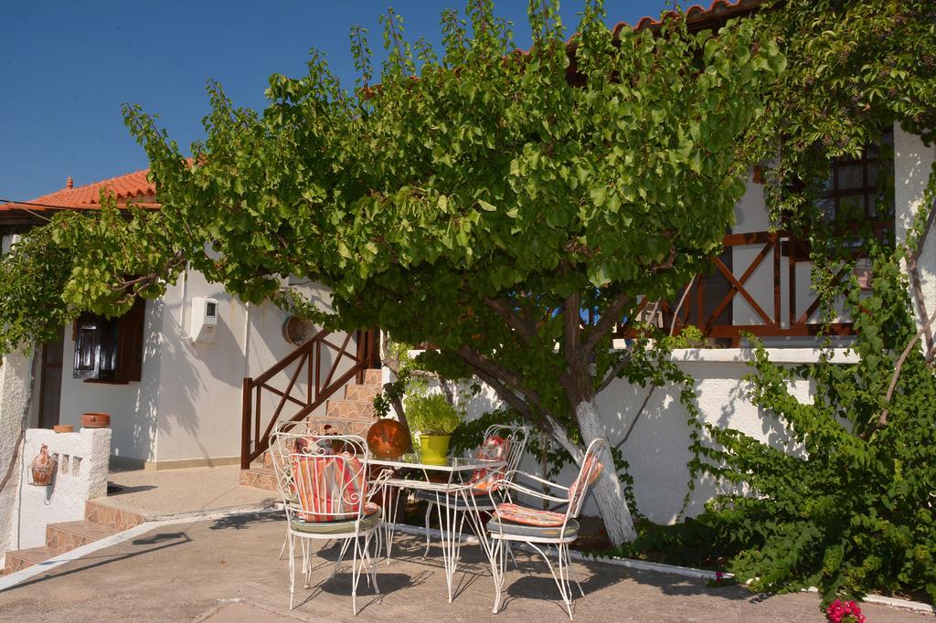 Sonia Studios Nees Kidonies Номер фото