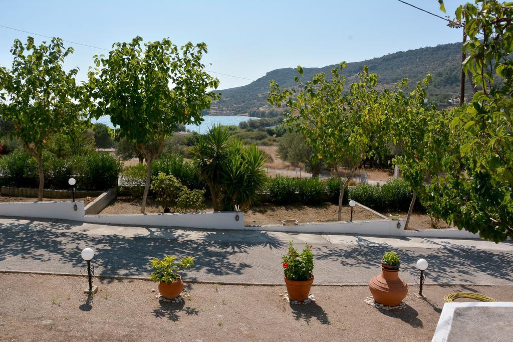 Sonia Studios Nees Kidonies Номер фото