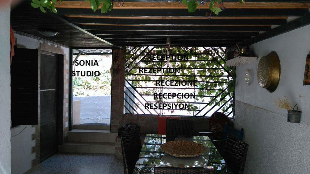Sonia Studios Nees Kidonies Екстер'єр фото